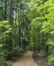 FriedWald Mainhardt Bild 2
