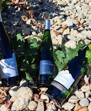 Domaine des Lauriers image 3