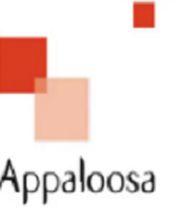 Appaloosa image 2
