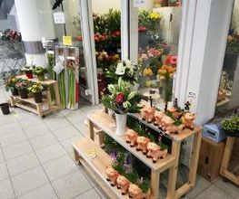 Blumen Kiosk Bild 1