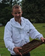 Le Rucher des Hautes Vosges image 7