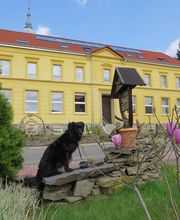 Märchenpension Rotkäppchen und der Wolf Bild 4