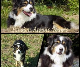 Pension Atomic Team's image 20