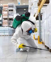 Kohlhaas & Honecker | Schädlingsbekämpfung