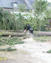 Bouvier Gianni image 16