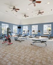 Reveal on Cumberland Apartments image 3