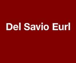 DEL SAVIO image 1
