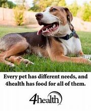 Petsense by Tractor Supply image 3