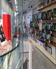 Gallery Cliente