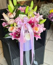 Gallery Cliente