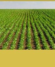 450398-Abonos-M-Garcia-banner2.jpg