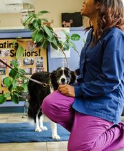 Ridgeview Animal Hospital image 16
