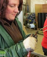 Baum- und Rosenschule Müller Bild 1