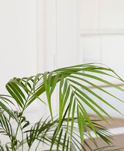 Etude CHIOCCHETTI & SIEVI : Agent d'Affaires Bild 12