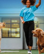 Pet Paradise Pooler image 1