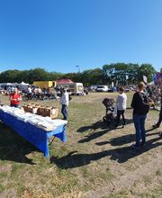 daCapo-Agentur Bild 1