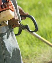 Les Serres Du Jardiniste image 1