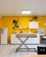 Clinique vétérinaire du Moulin à Vent - Puiseux-Pontoise - Sevetys image 3