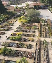 Jardinerie Du Tech image 3