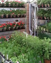 Au Jardin De Pre-Vert image 9
