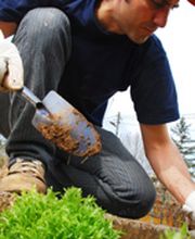 Agri Paysage SARL image 1