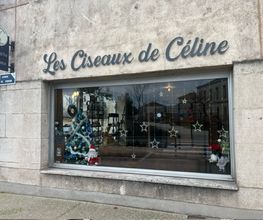 Les Ciseaux de Céline image 7