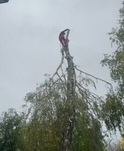 Gabriel Baum- & Gartenpflege Bild 10