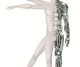 Arnaud MAZET image 7