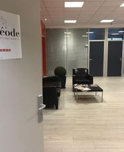 Bach Virginie image 6