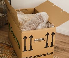 Umzugskarton
