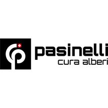 Pasinelli cura alberi Sagl