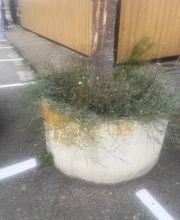 Eden Colors image 17