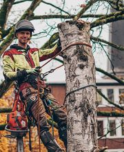 Baum&Gartenservice Meier Bild 6