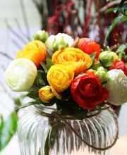 Oya Fleurs image 11
