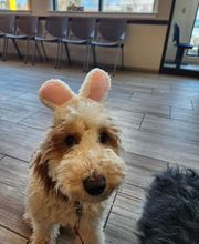 Back Mountain Veterinary Hospital image 8