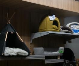 Habekost Heimtiermarkt Bild 20