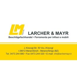 Larcher & Mayr Srl logo