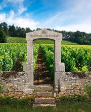 Nuiton Beaunoy image 7