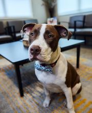 Linworth Family Dental image 5