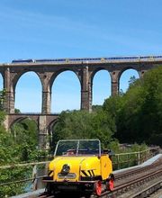 Pension \"Zum Hirsch\" Bild 12