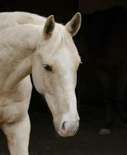 Meier David und Carmen Bild 3