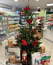 Pharmacie des Chartreux - Julie VANDEPUTTE image 17