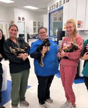 Caring Hands Animal Hospital - Centreville image 6
