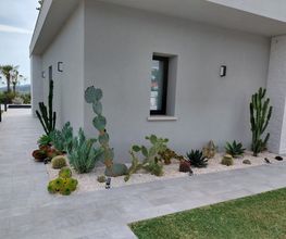 Gallery Cliente
