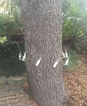 Magic Garden Sagl Bild 2