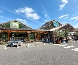 GAMM VERT image 1