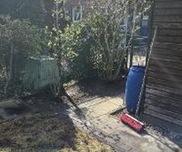 Helfer Äffchen Bild 10