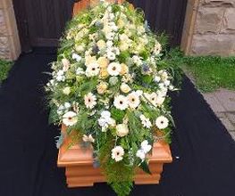 Blumen Dahlmann Bild 8