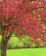 Borger et Fils image 1