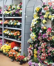 Bricomarché Saint-Jean-De-Muzols image 4